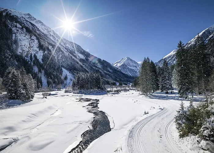 Stern * 노이스티프트임스튀바이탈